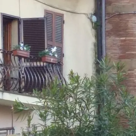 Lory's Near Rome *